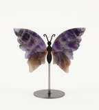 Schmetterling-Amethyst