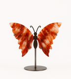 Schmetterling-Feuerquarz