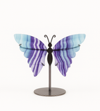 Schmetterling-Fluorit