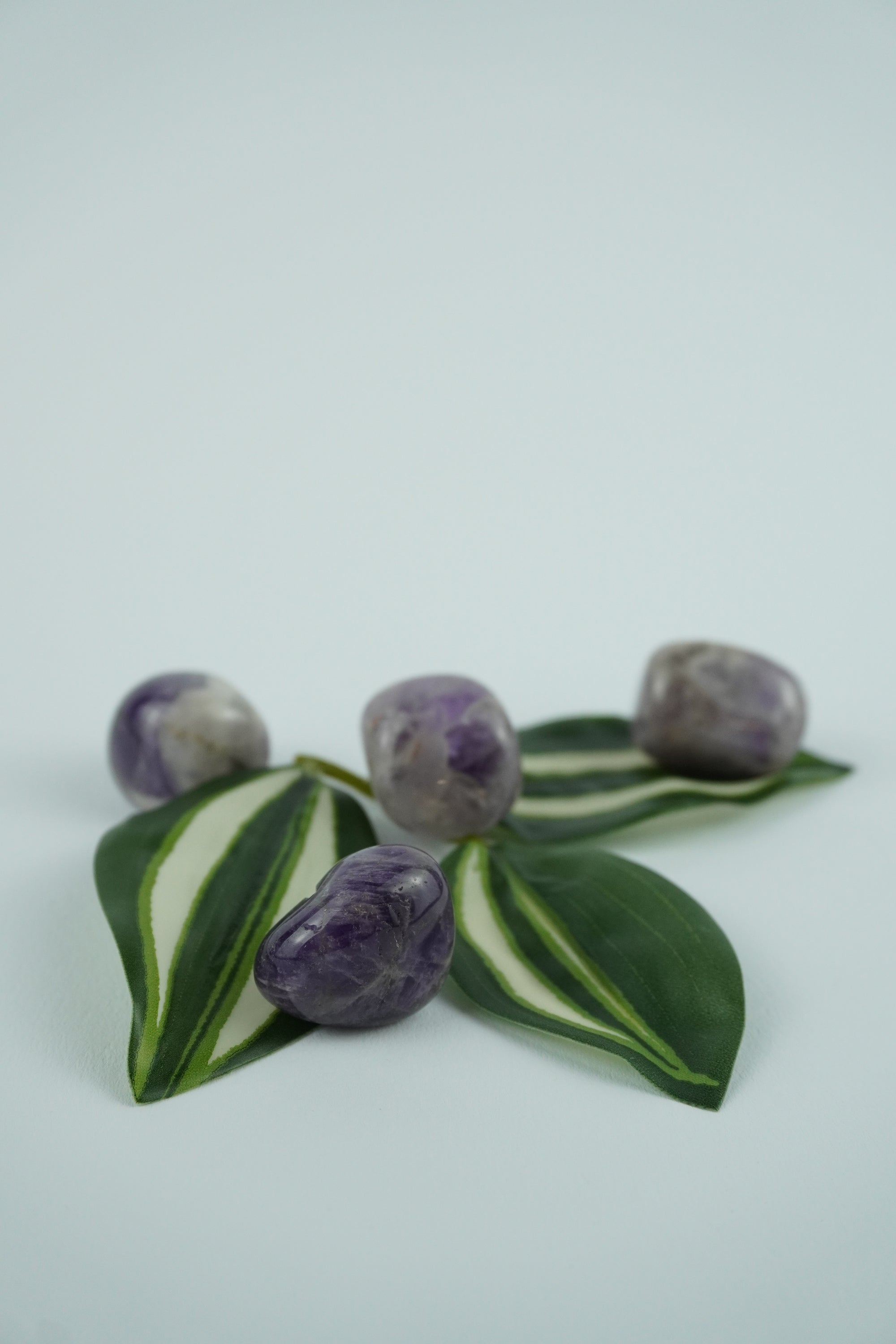 Trommelstein-Amethyst