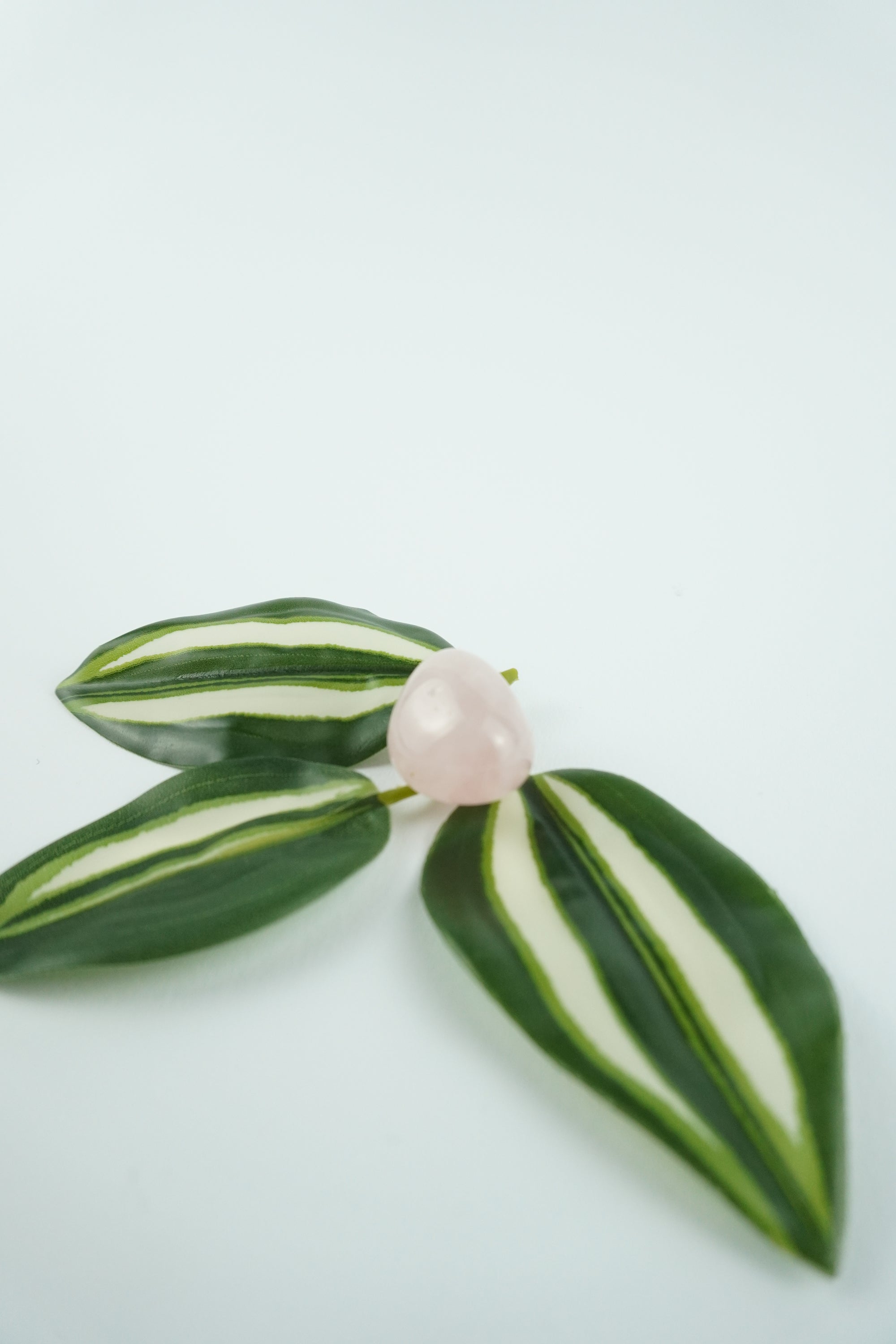 Trommelstein-Rosenquarz