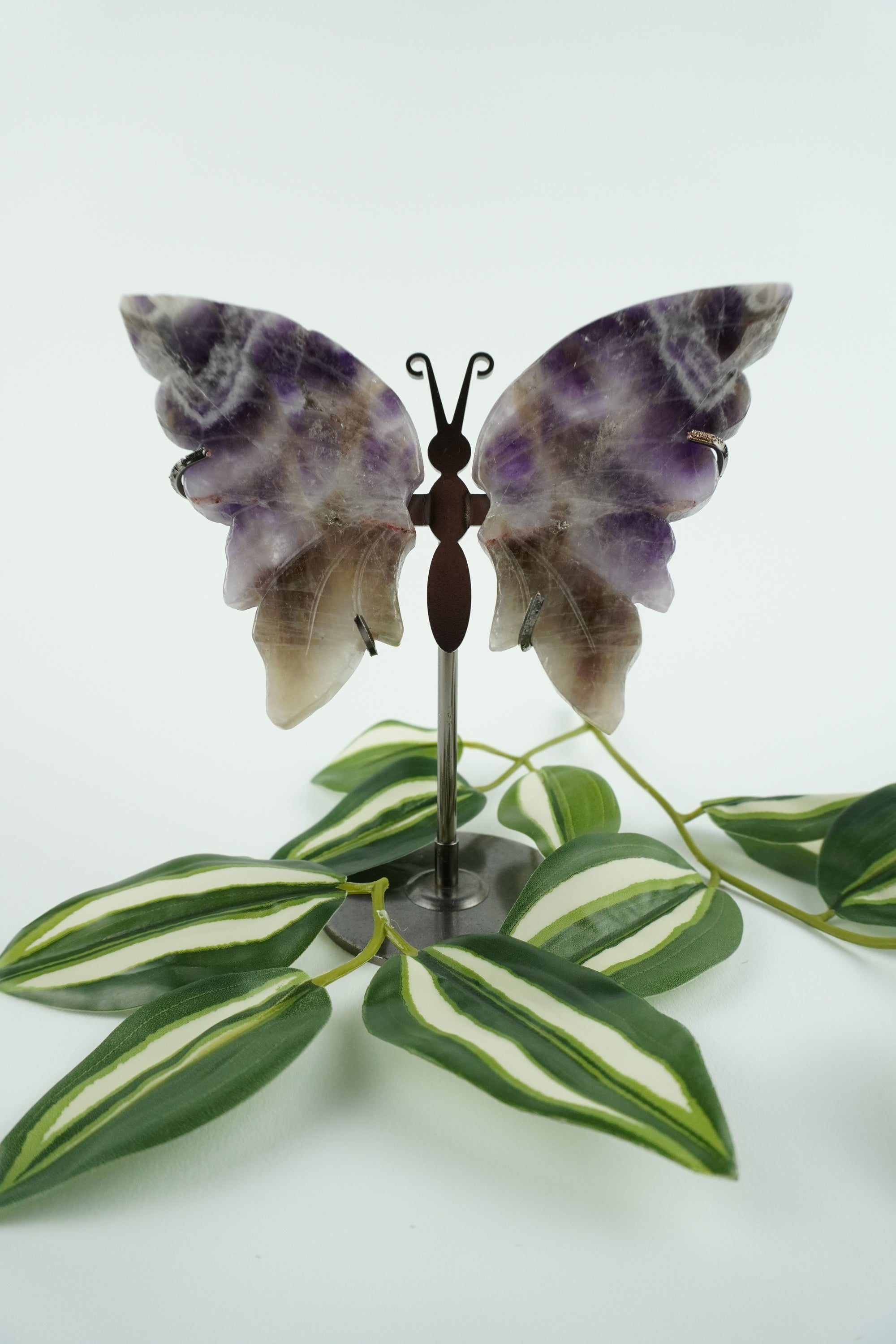 Schmetterling-Amethyst
