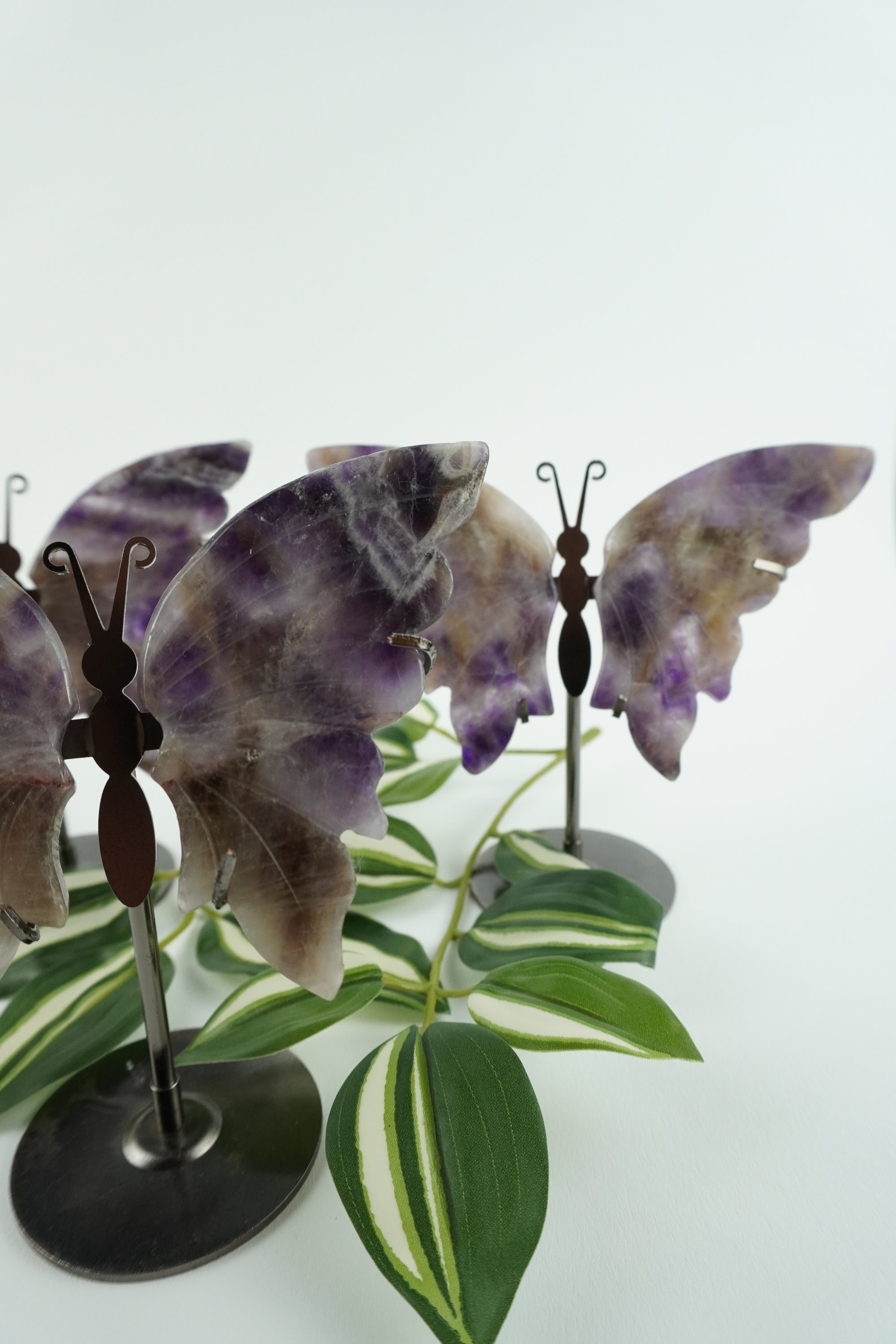 Schmetterling-Amethyst