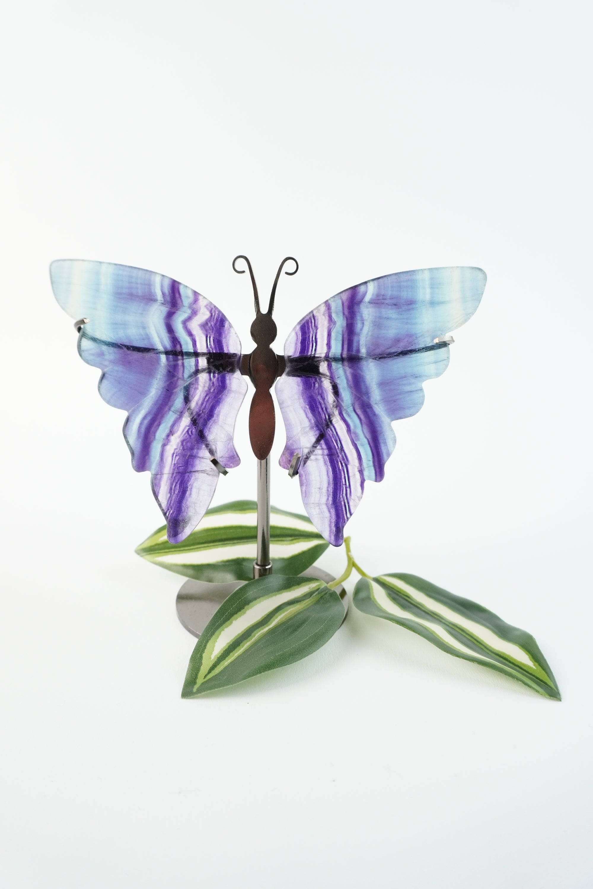 Schmetterling-Fluorit