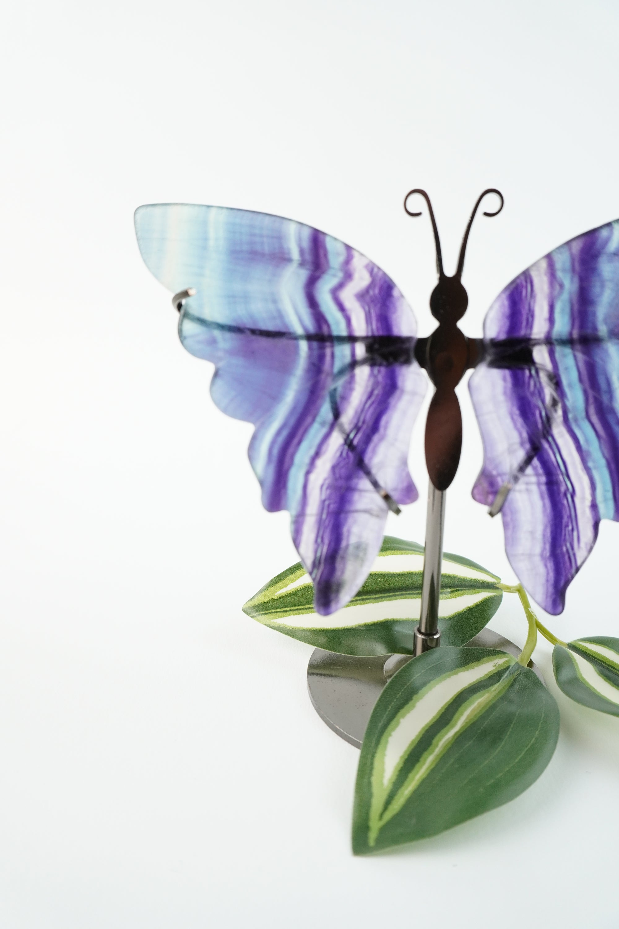 Schmetterling-Fluorit