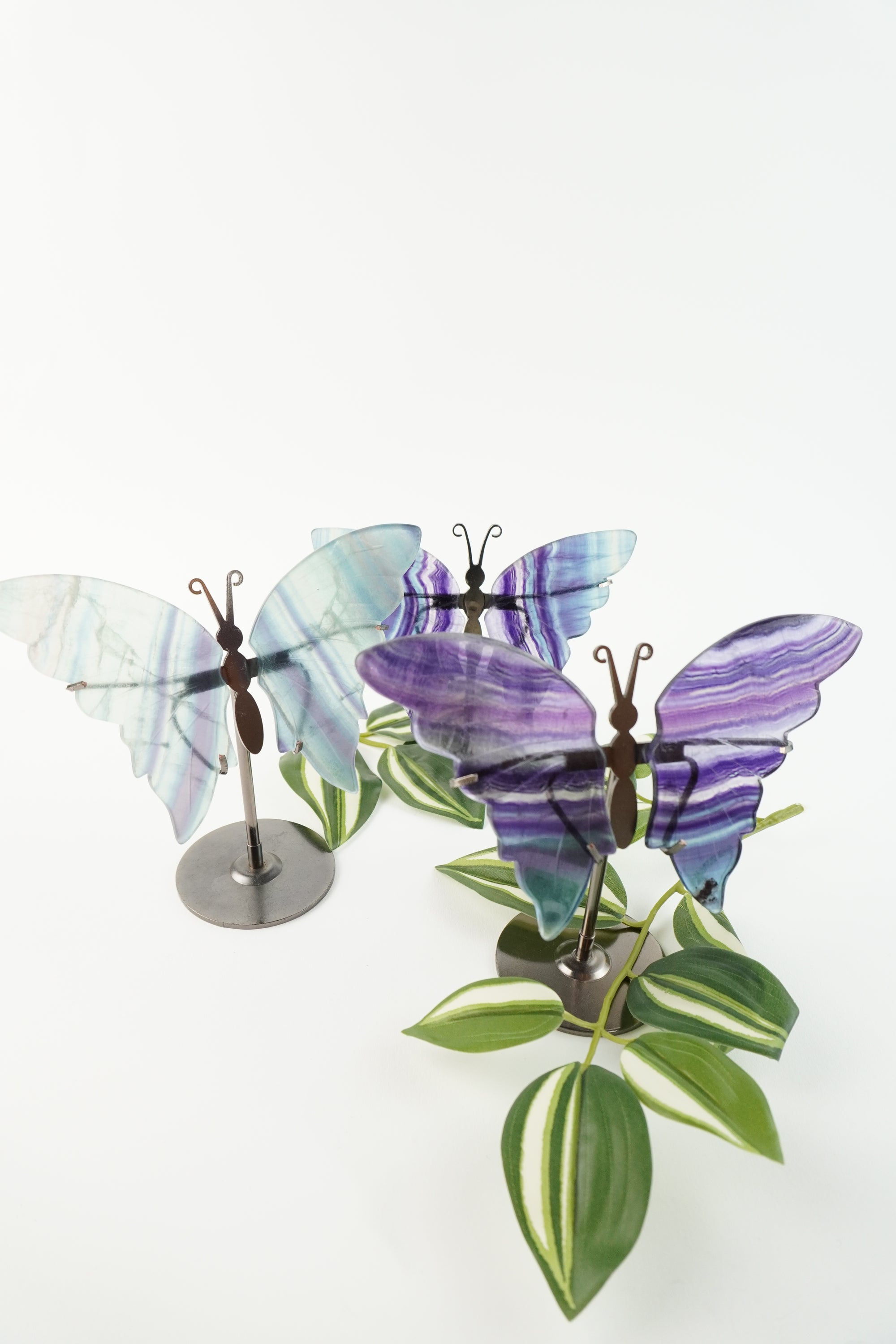 Schmetterling-Fluorit