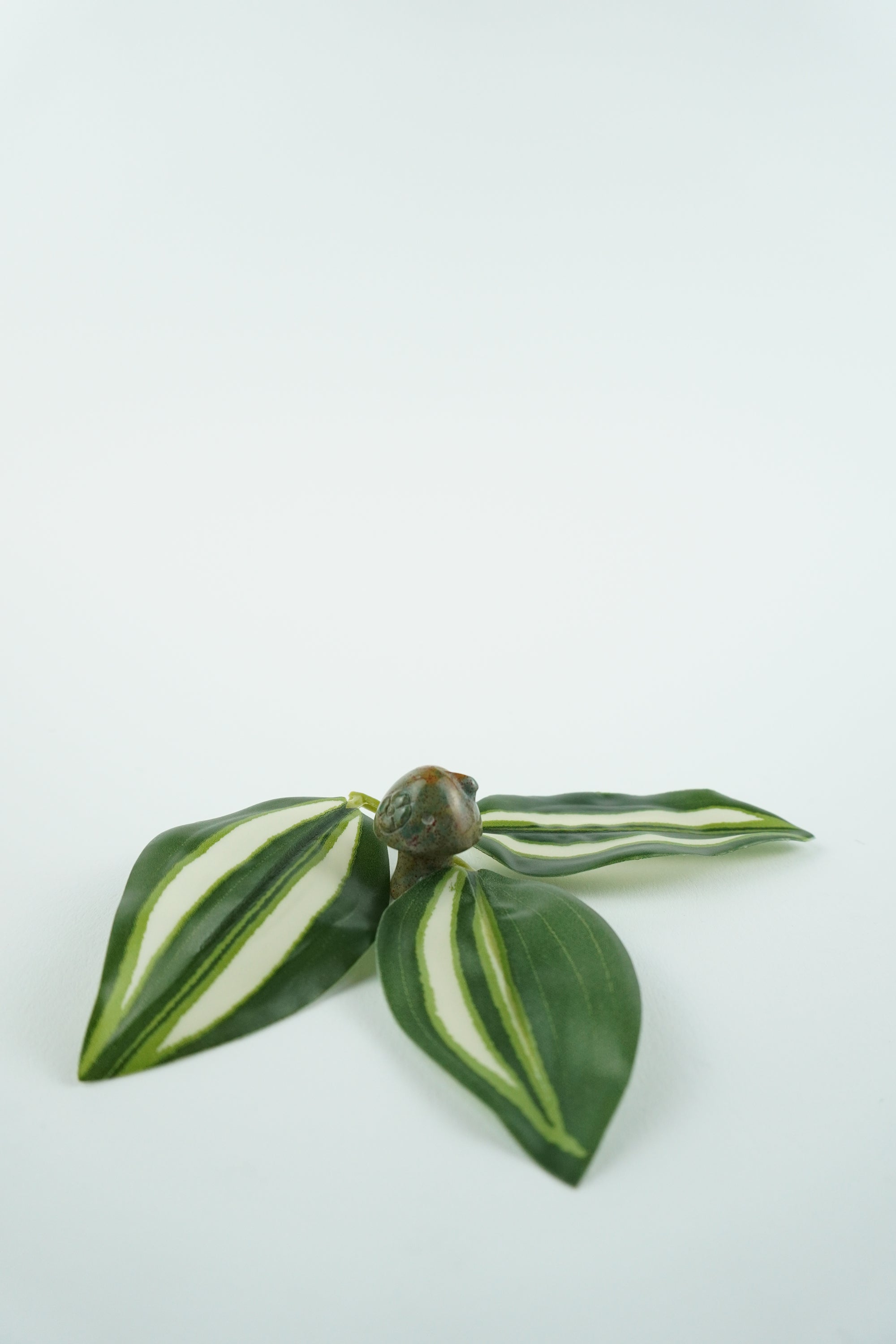 Pilz Mini-Ozean Jaspis