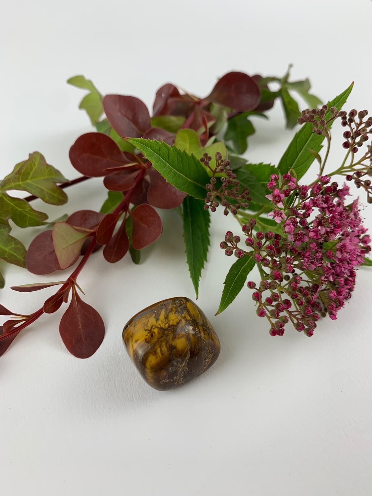 Trommelstein-Tigerauge